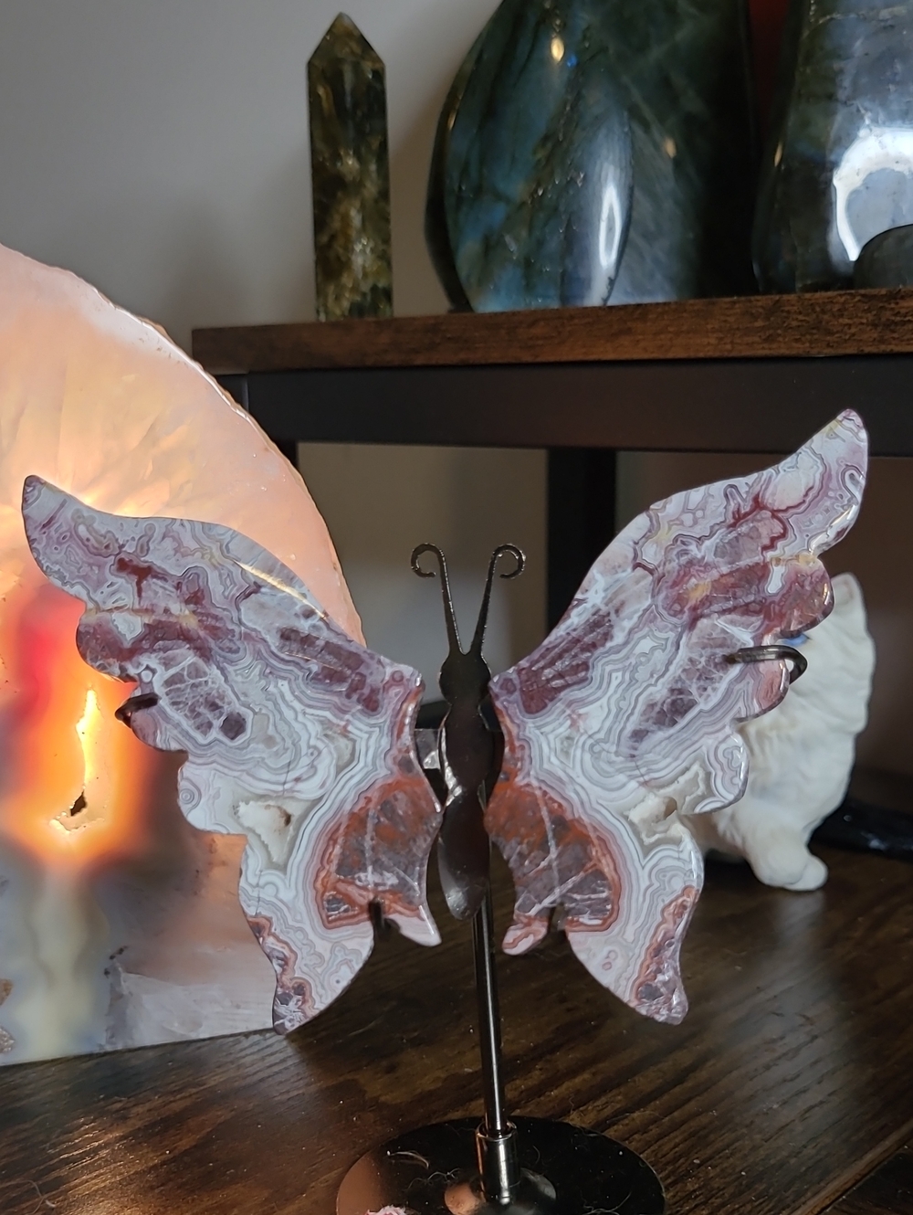 Crazy Lace Butterfly